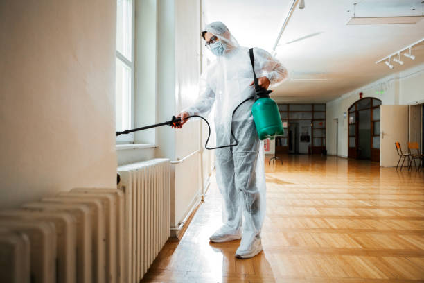 Professional Pest control in Milmay, NJ